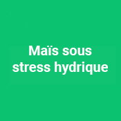 https://js-consult.fr/wp-content/uploads/2021/02/js-consulting-biosciences-page-phenotypage-mais-stress-hydrique2.png